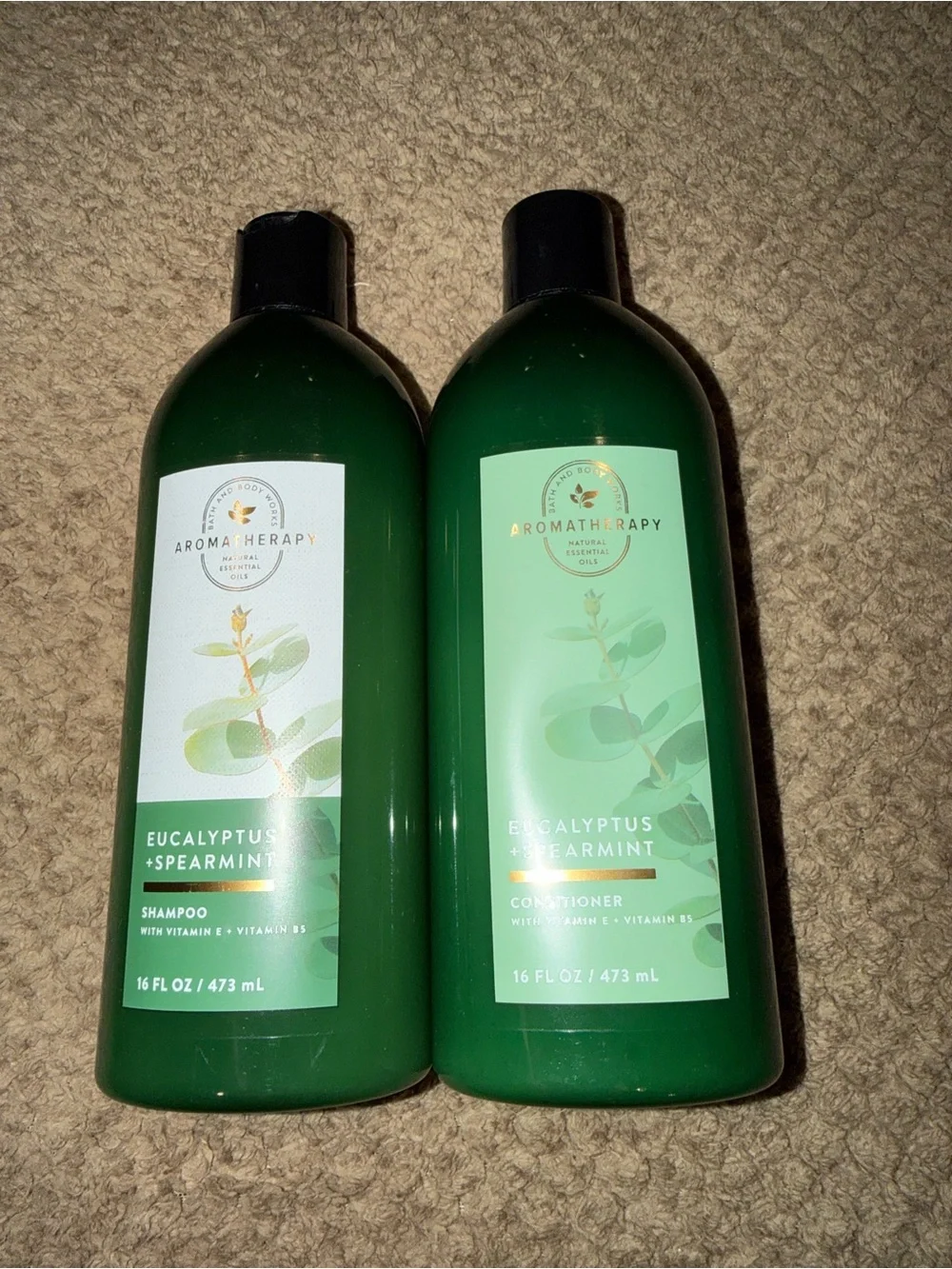 Bath & Body Works Aromatherapy Eucalyptus + Spearmint Shampoo & Conditioner Set